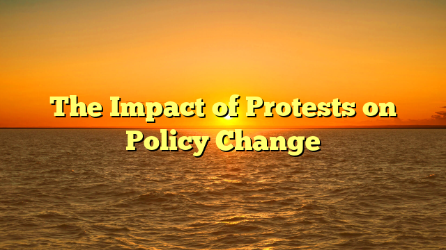 The Impact of Protests on Policy Change