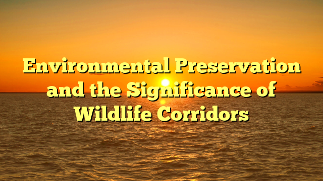 Environmental Preservation and the Significance of Wildlife Corridors